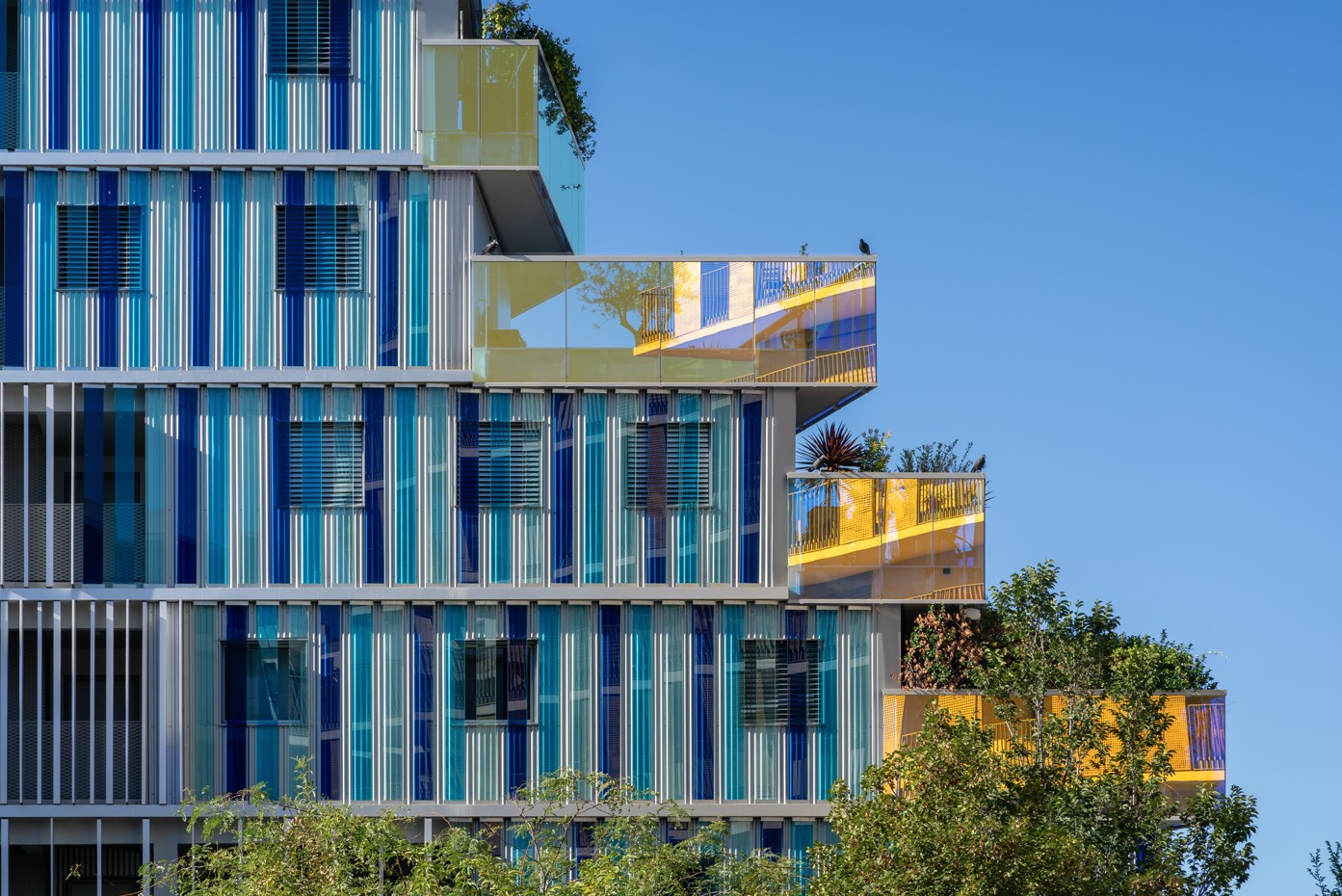 appartement terrasse rooftop Montpellier